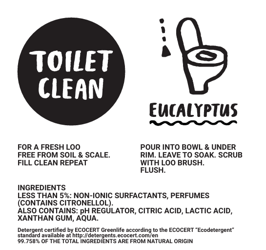 Toilet cleaner